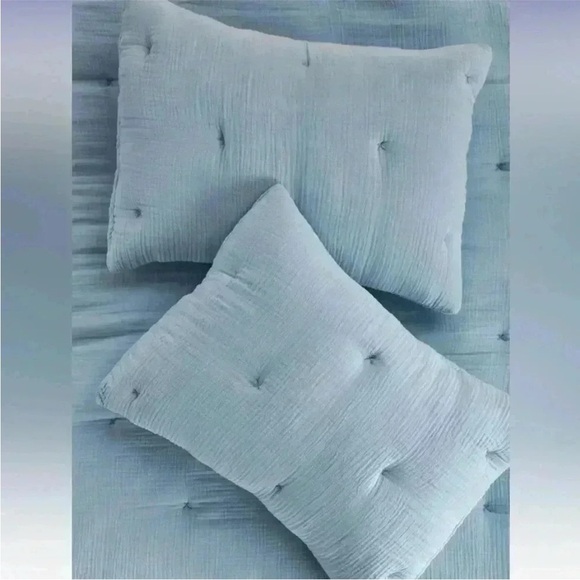 Elysian Cross-Dyed Gauze King Shams Set of 2 NWT